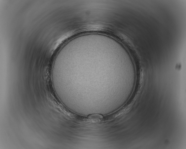 X0000114611210200911101144