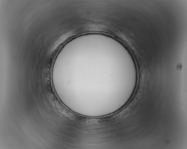 X0000114611211200911101144