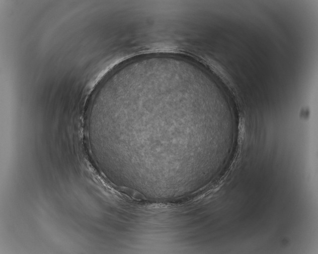 X0000114611212200911101144