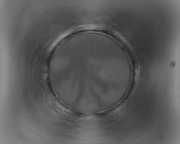 X0000114611213200911101144