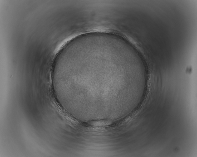 X0000114611214200911101144