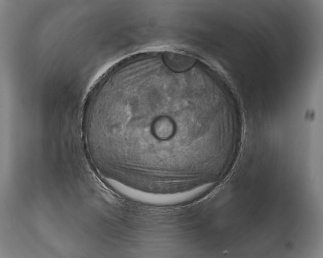 X0000114611216200911101144