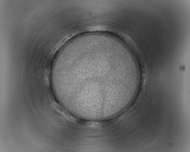 X0000114611217200911101144