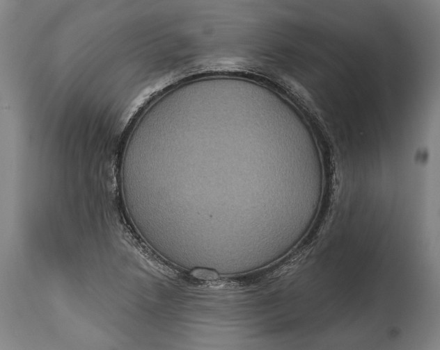 X0000114611218200911101144