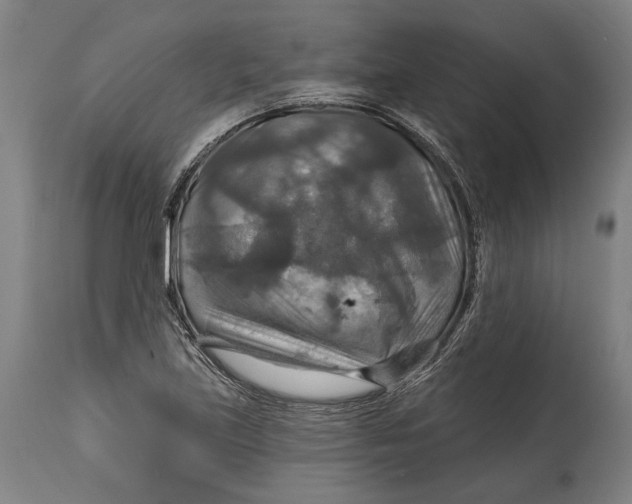 X0000114611219200911101144