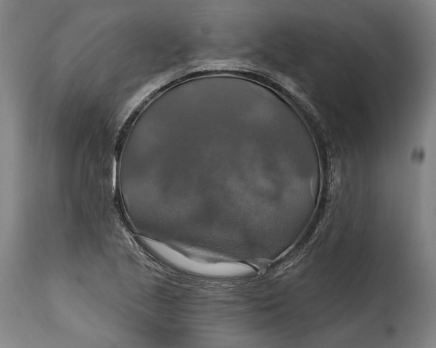 X0000114611221200911101144