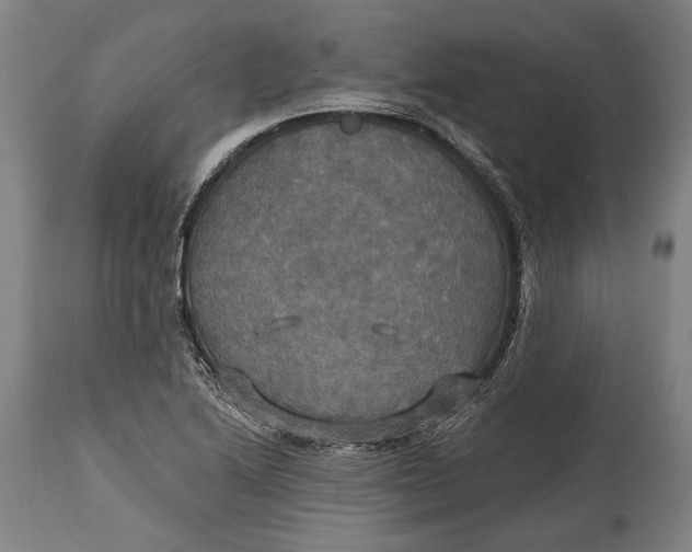 X0000114611222200911101144