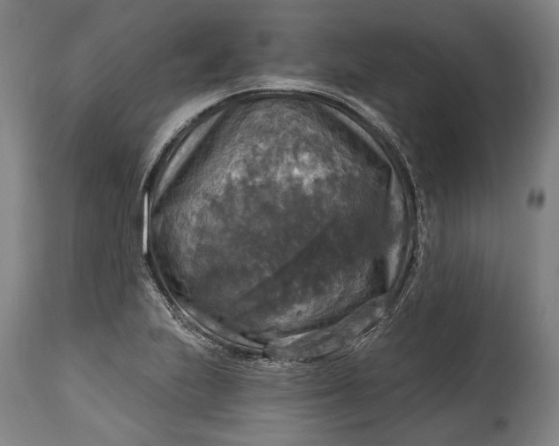 X0000114611223200911101144