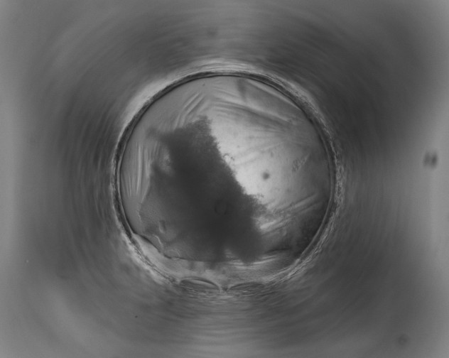 X0000114611231200911101145