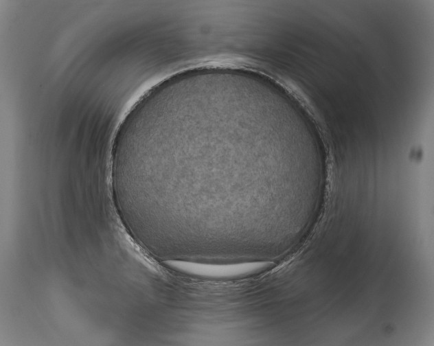 X0000114611232200911101145