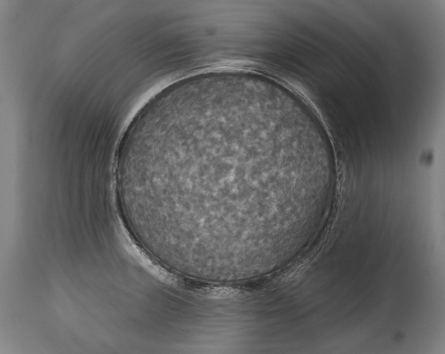 X0000114611235200911101145