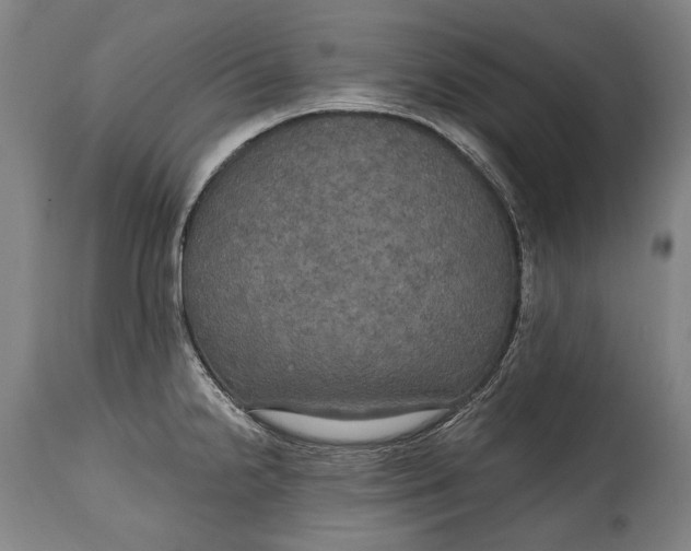 X0000114611238200911101145