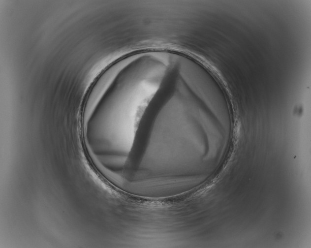 X0000114611239200911101145