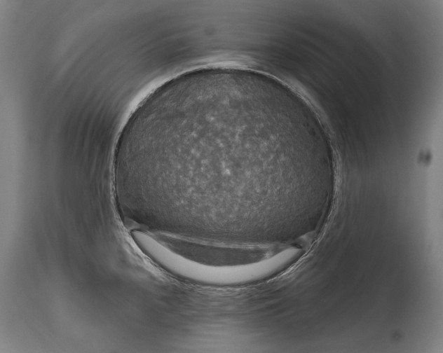 X0000114611240200911101145