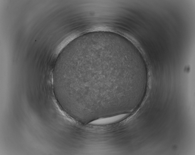 X0000114611241200911101145