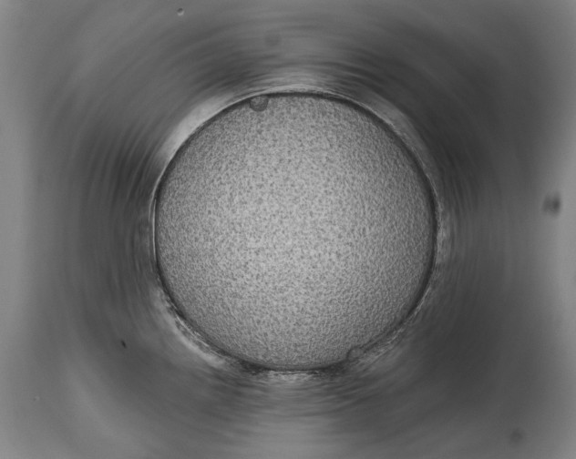 X0000114611242200911101145