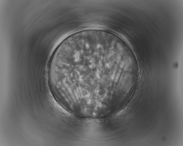 X0000114611243200911101145