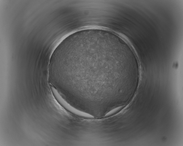 X0000114611244200911101145