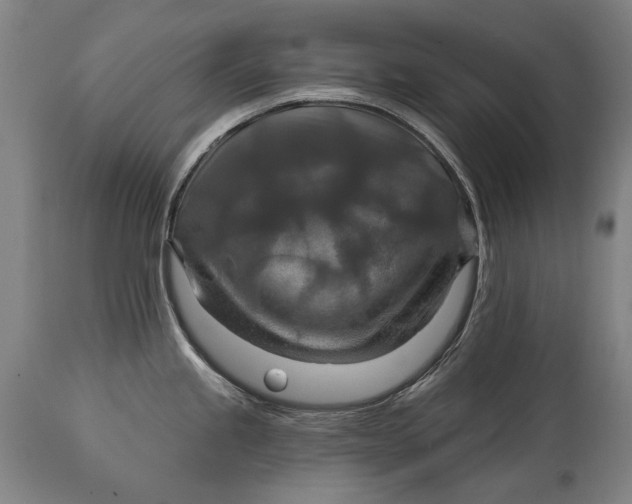 X0000114611245200911101145