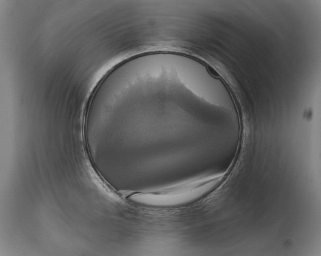 X0000114611246200911101145