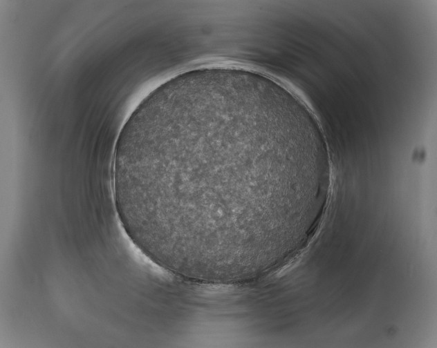 X0000114611247200911101145