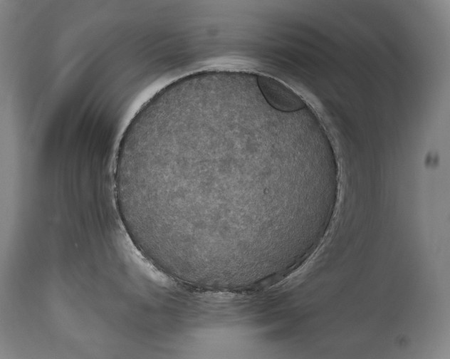 X0000114611248200911101145