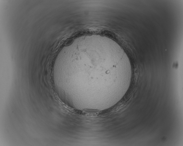 X0000114611249200911101144