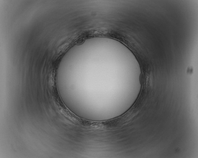 X0000114611250200911101144