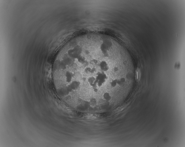 X0000114611251200911101144