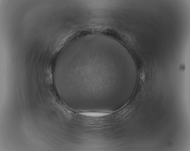 X0000114611252200911101144