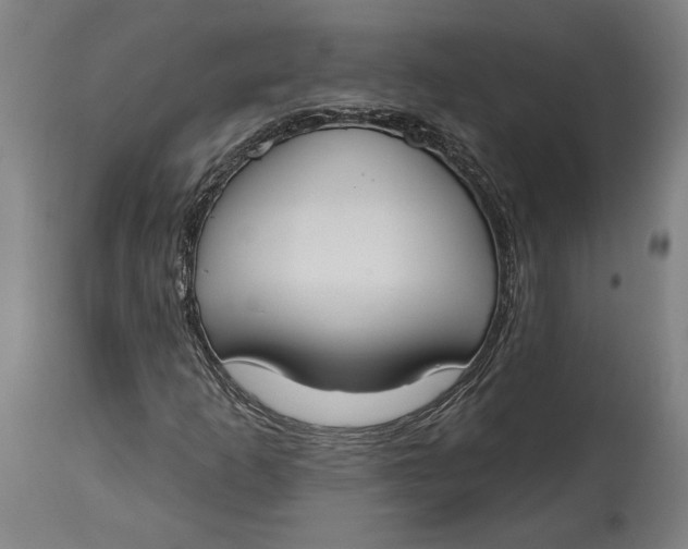 X0000114611253200911101144