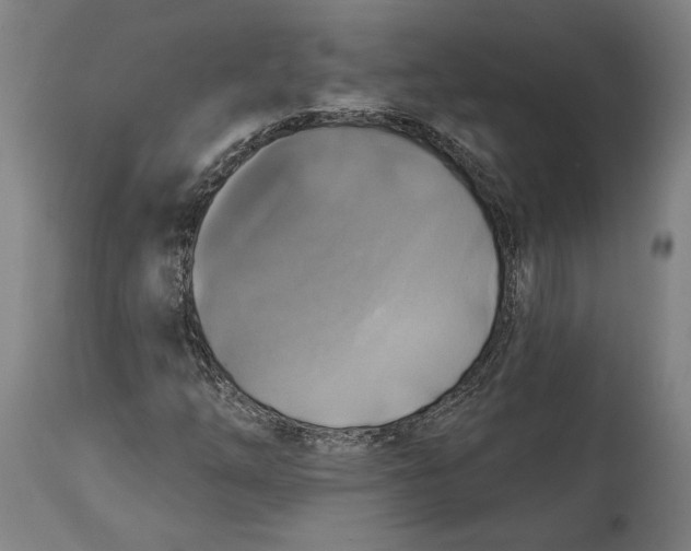 X0000114611254200911101144