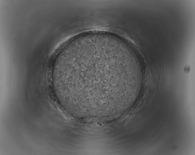 X0000114611255200911101144