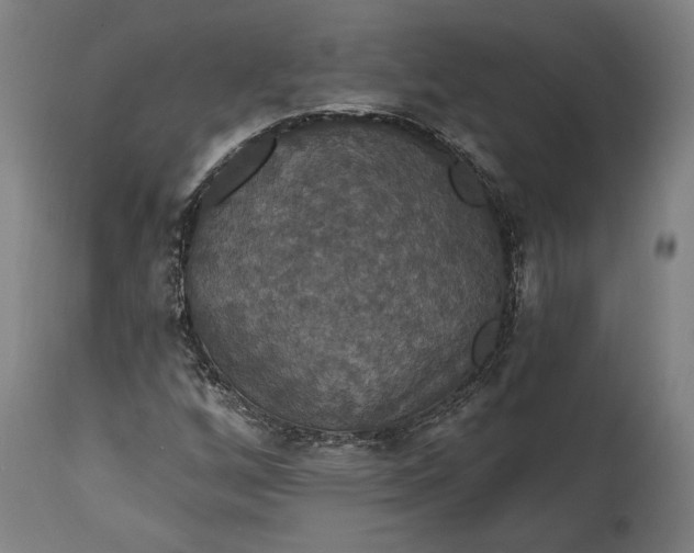 X0000114611256200911101144