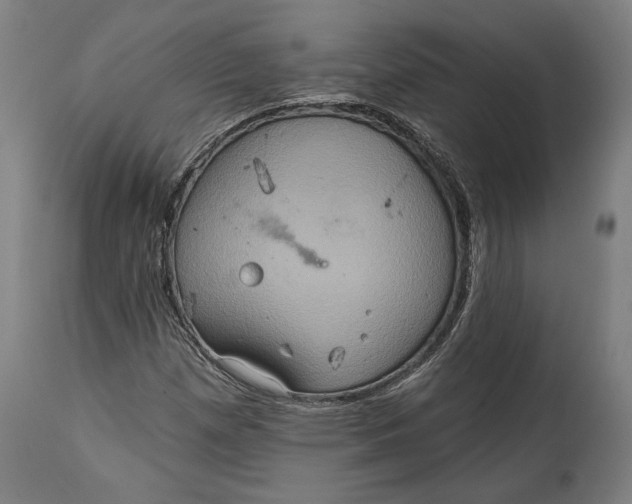 X0000114611257200911101144