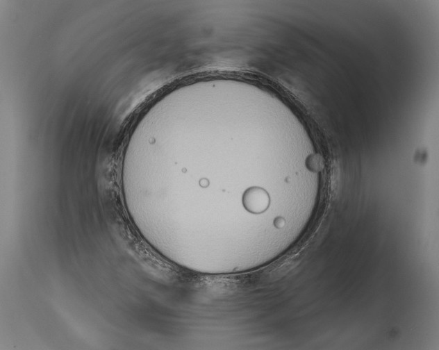 X0000114611258200911101144