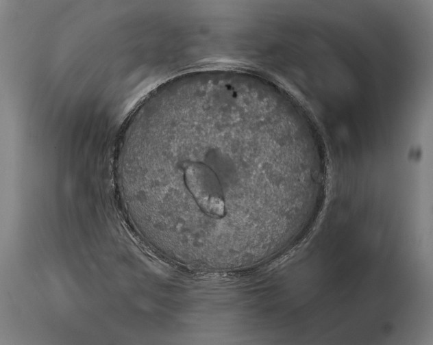 X0000114611259200911101144