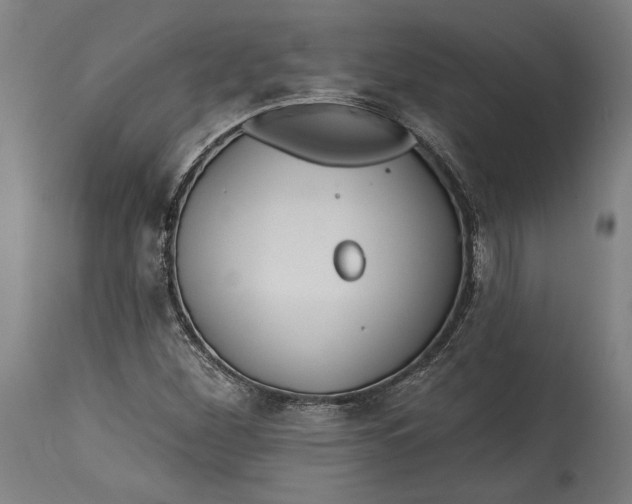 X0000114611260200911101144