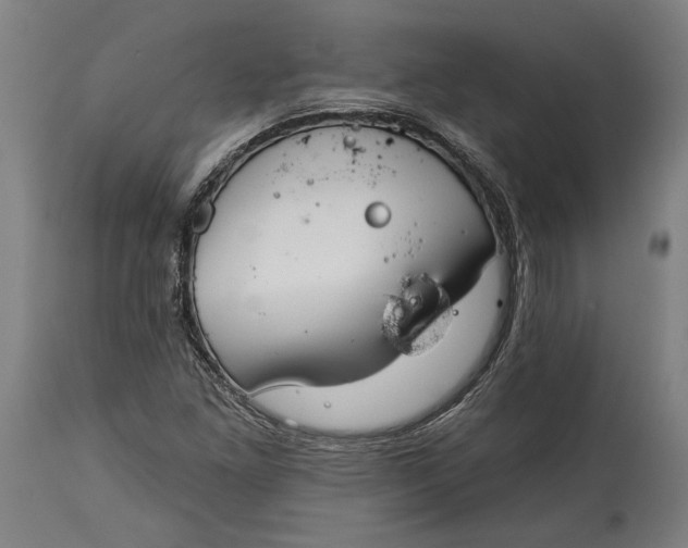 X0000114611261200911101144