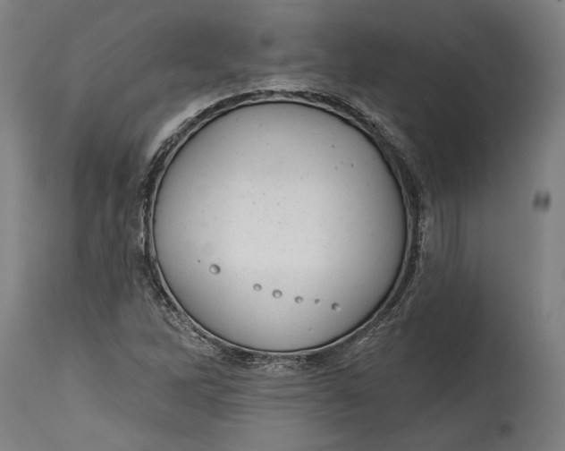 X0000114611262200911101144