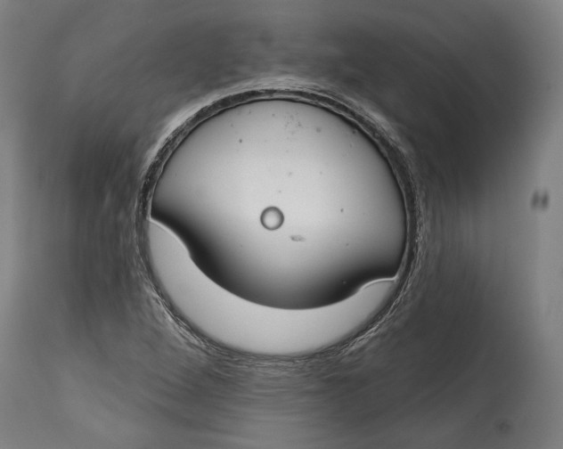 X0000114611264200911101144