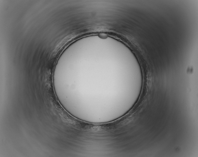 X0000114611265200911101144