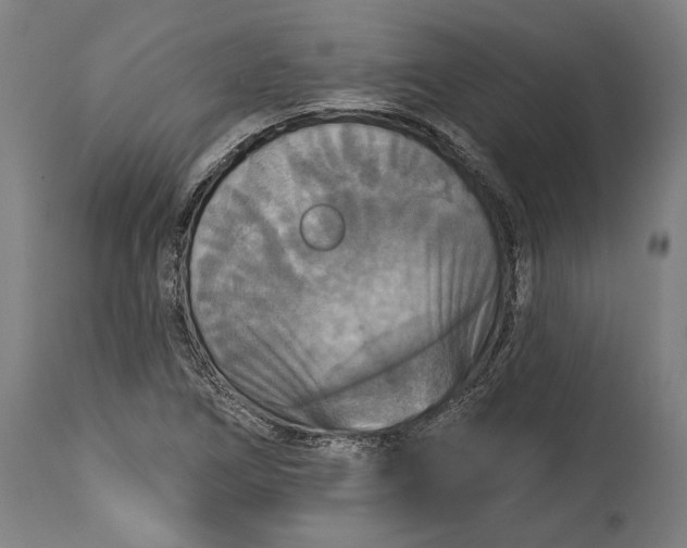 X0000114611266200911101144