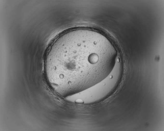 X0000114611267200911101144