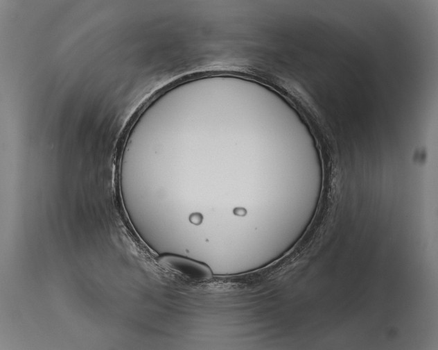 X0000114611268200911101144