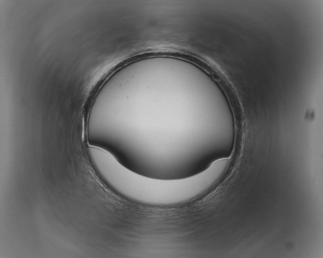 X0000114611269200911101144