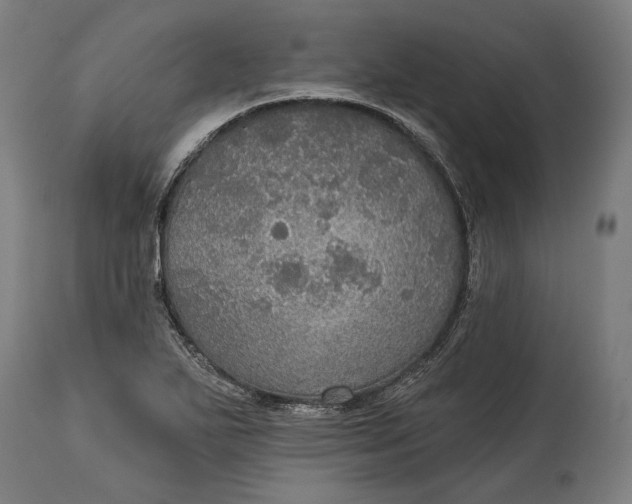 X0000114611271200911101144