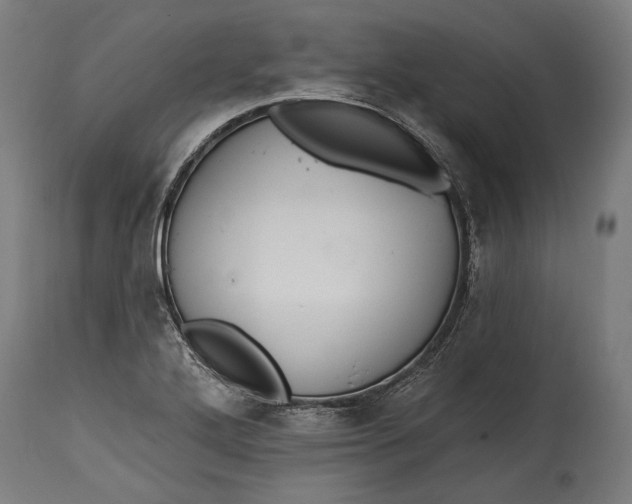 X0000114611272200911101143