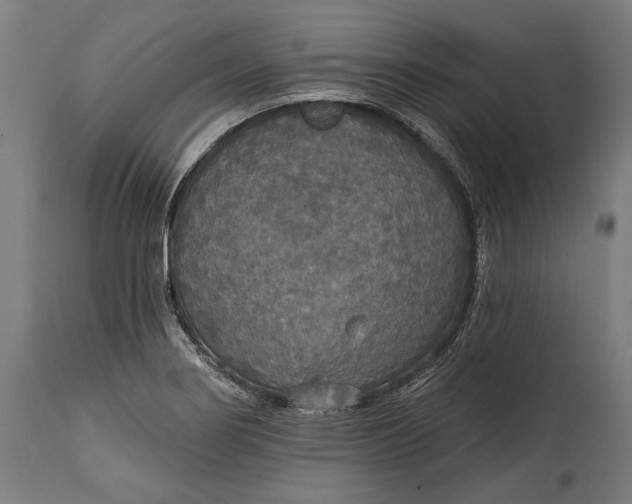 X0000114611274200911101143