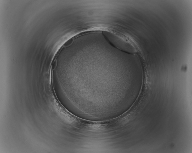 X0000114611276200911101143